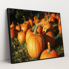 7090345672739 - Product Image