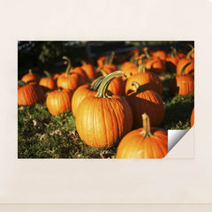 7090345672739 - Product Image