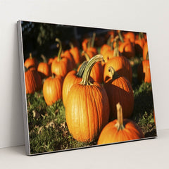 7090345672739 - Product Image