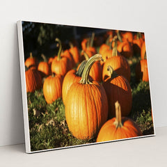 7090345672739 - Product Image