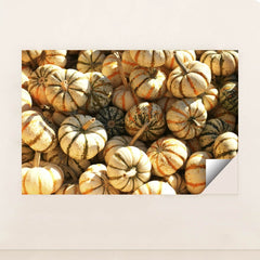 7090328797219 - Product Image