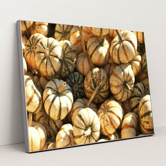 7090328797219 - Product Image