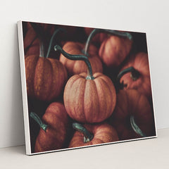 7090331516963 - Product Image