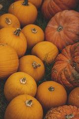Susanna Marsiglia - A vibrant display of orange pumpkins stacked on the grass at an outdoor market in fall.