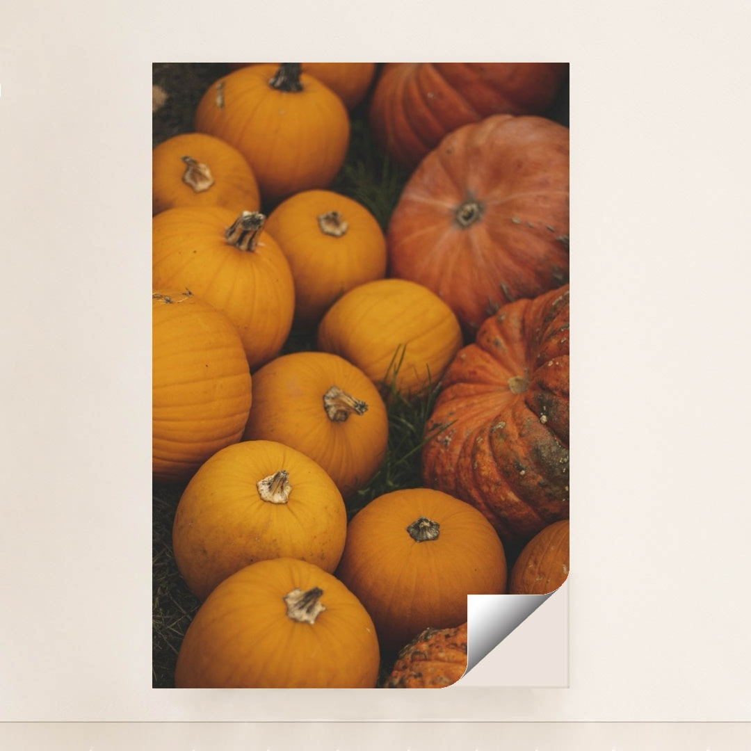 7090334597155 - Product Image