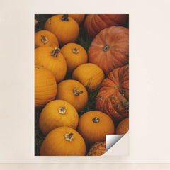 7090334597155 - Product Image