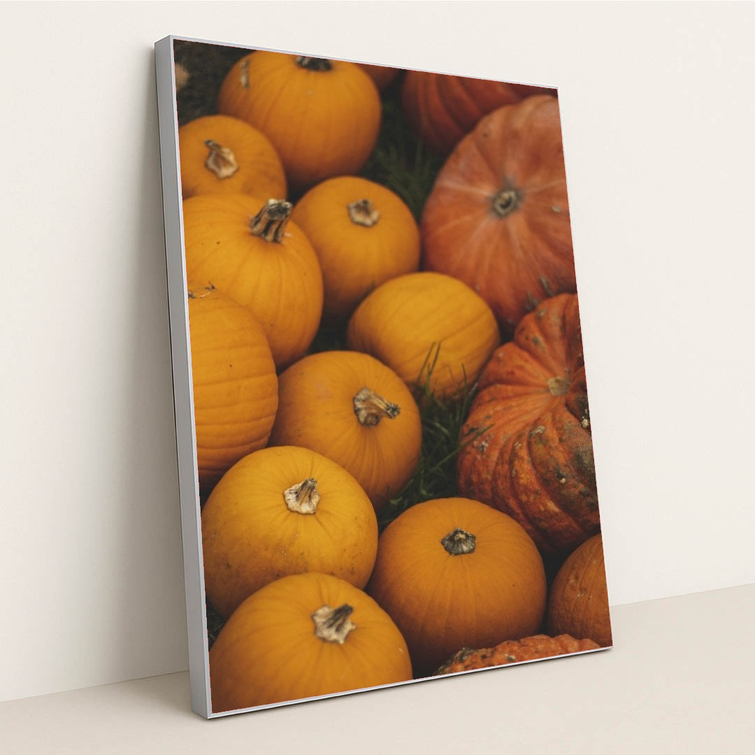 7090334597155 - Product Image