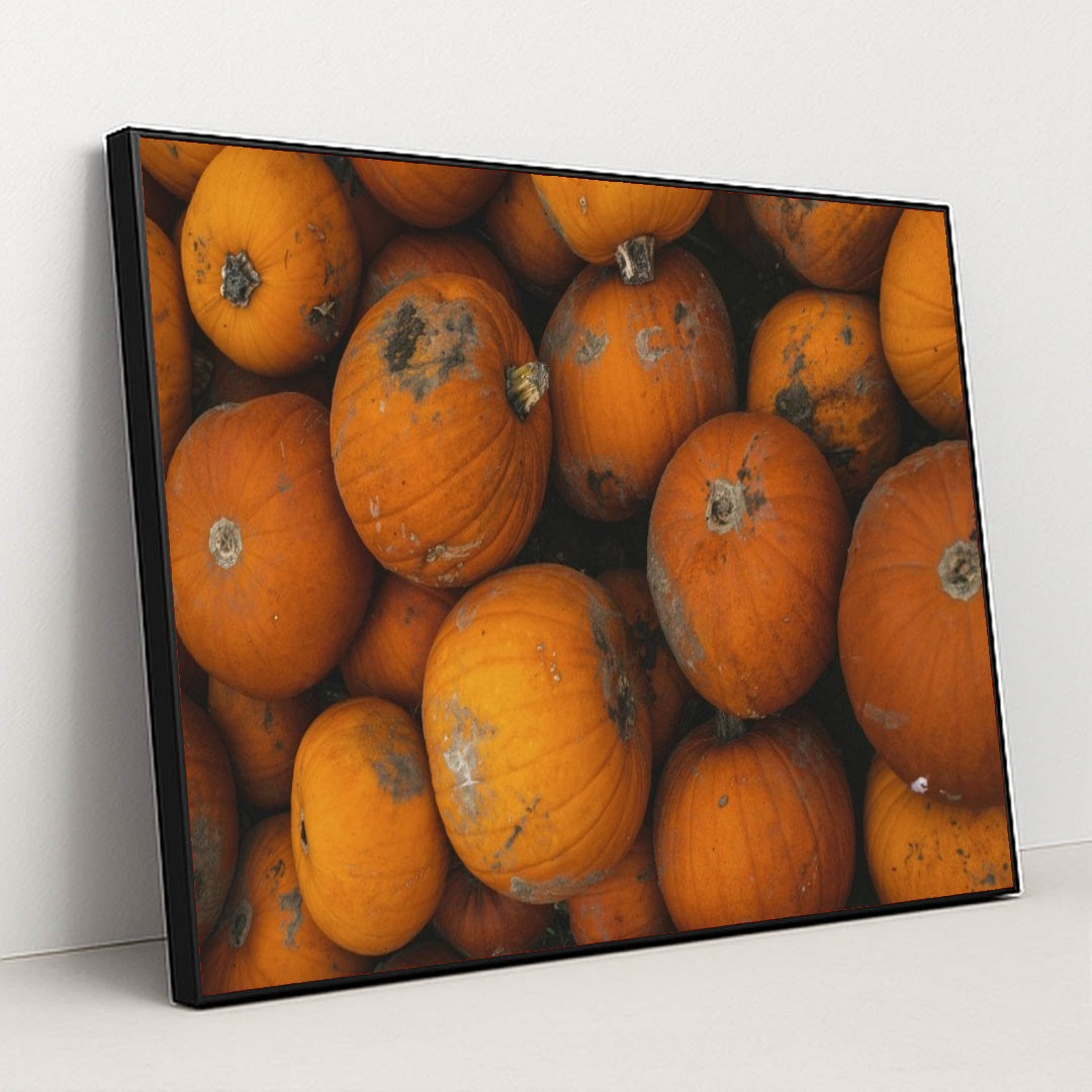 7090334466083 - Product Image