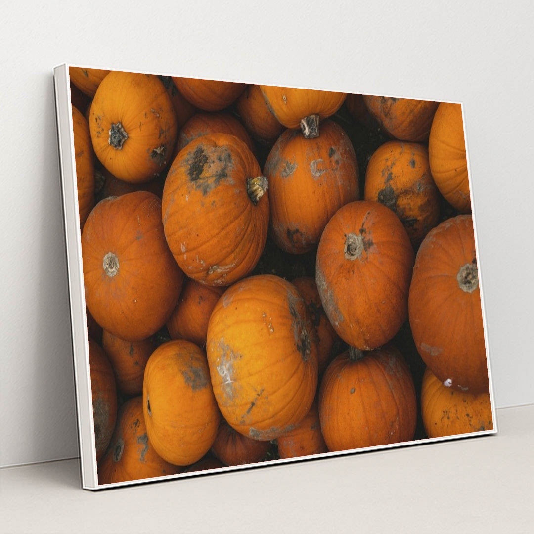 7090334466083 - Product Image