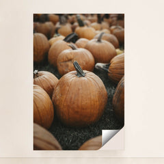 7090328731683 - Product Image