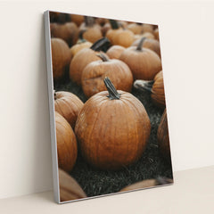 7090328731683 - Product Image