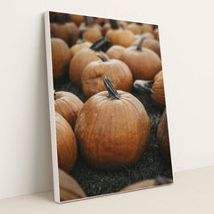 7090328731683 - Product Image