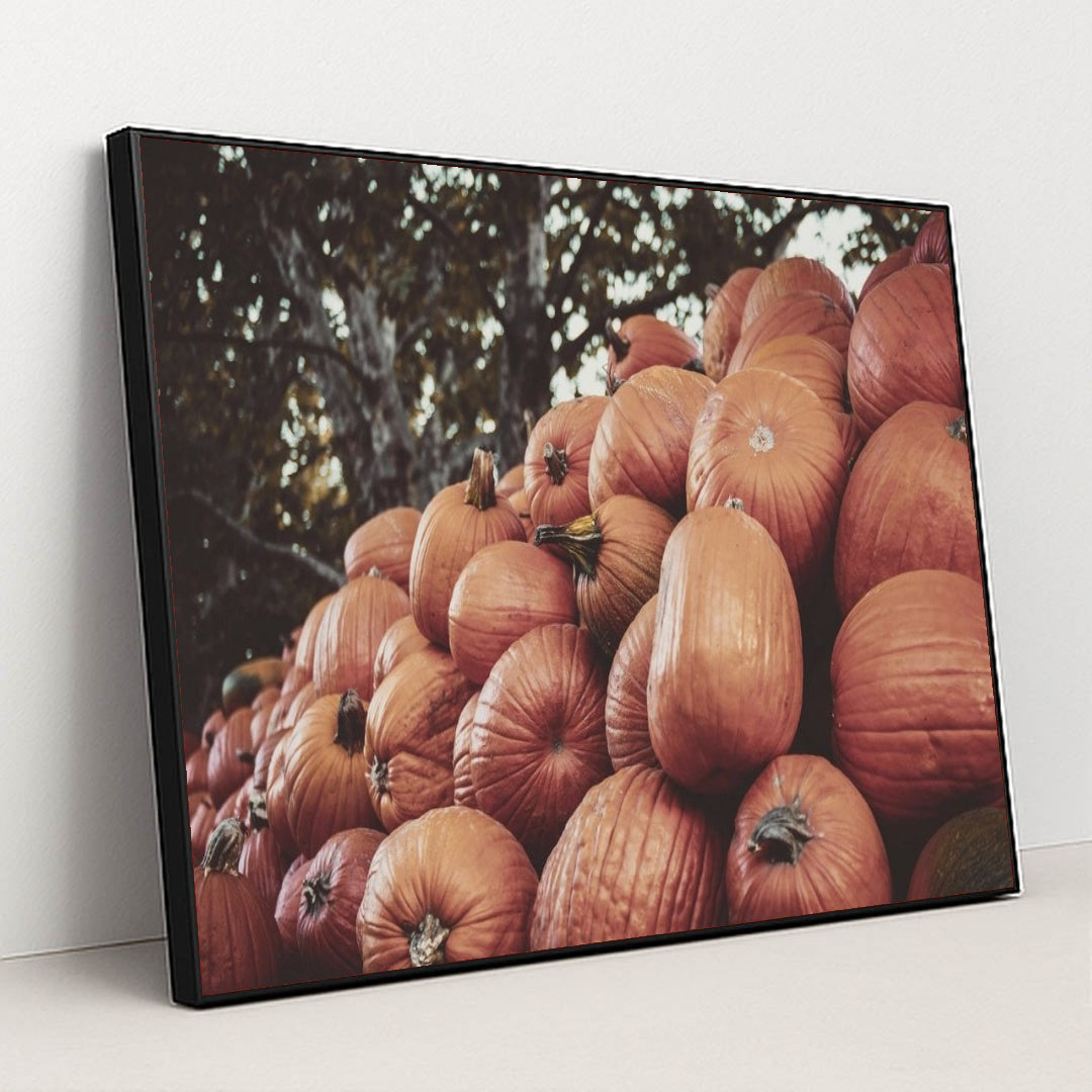 7090330435619 - Product Image