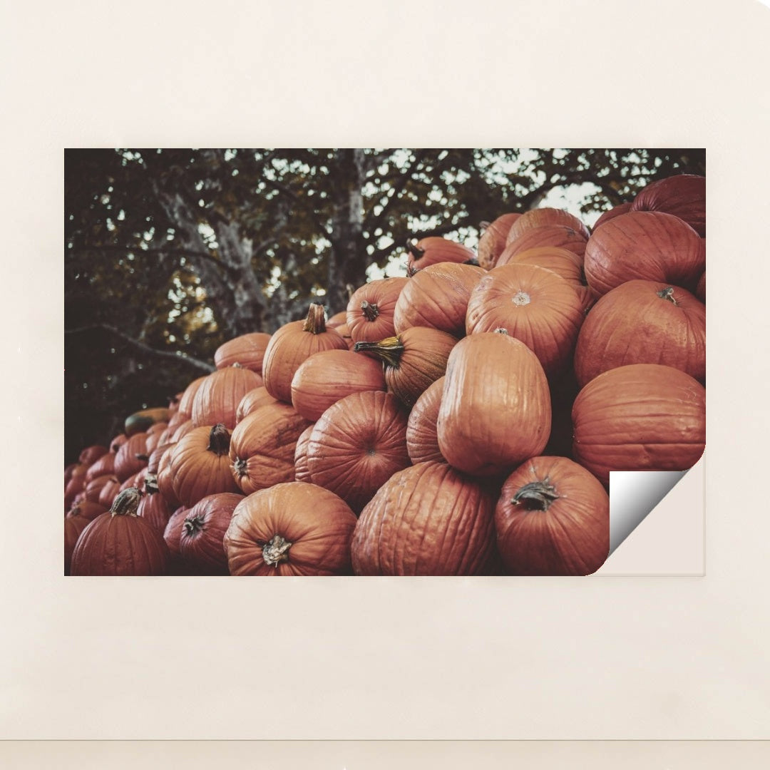 7090330435619 - Product Image