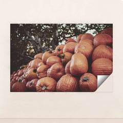 7090330435619 - Product Image