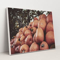 7090330435619 - Product Image