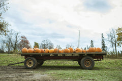 Jay Randhawa - Cart filled with pumpkins set in a rustic autumn landscape, perfect for fall harvest themes.