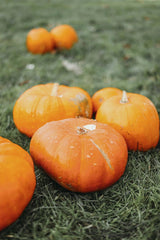 Valeria Boltneva - Vibrant orange pumpkins scattered across green grass in a serene autumn scene.