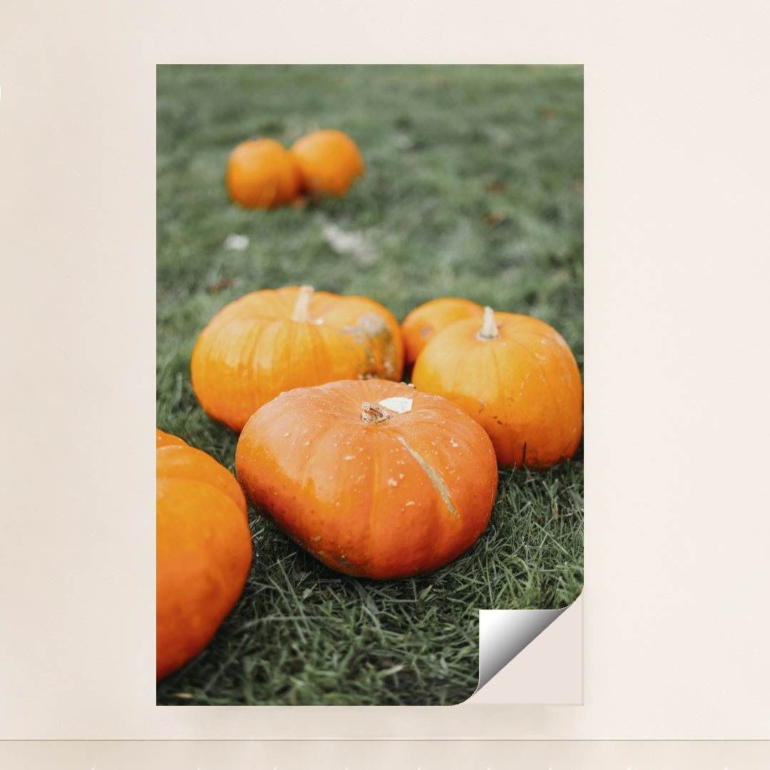 7090358222883 - Product Image