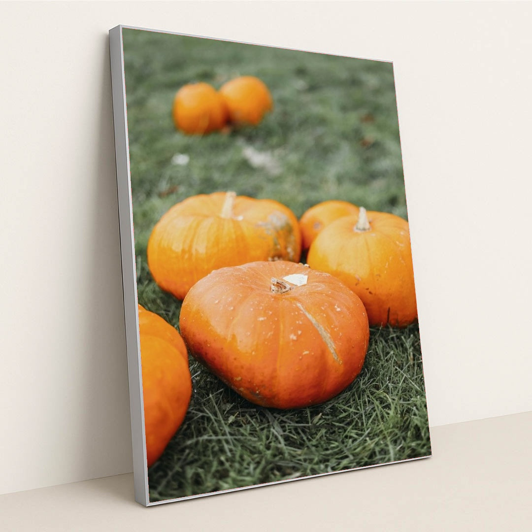 7090358222883 - Product Image