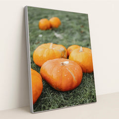 7090358222883 - Product Image