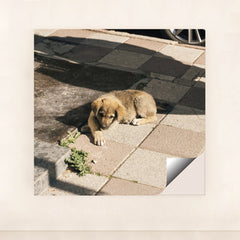 7090329255971 - Product Image