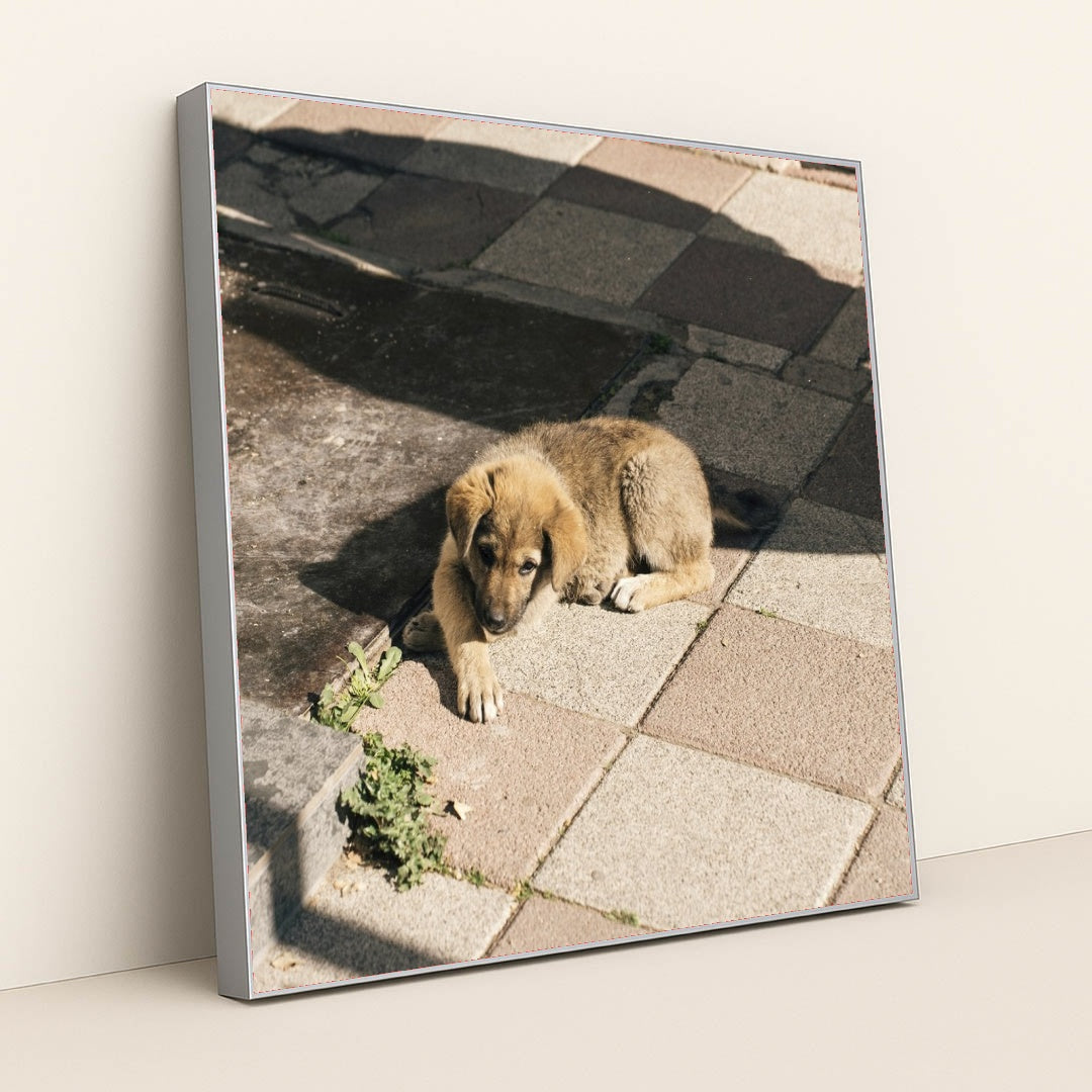 7090329255971 - Product Image