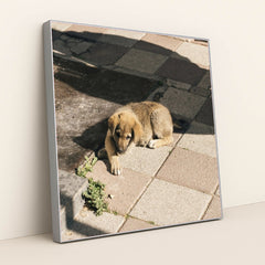 7090329255971 - Product Image