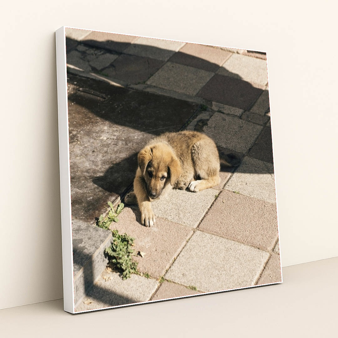 7090329255971 - Product Image