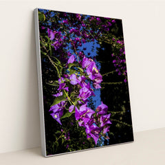 7090291671075 - Product Image