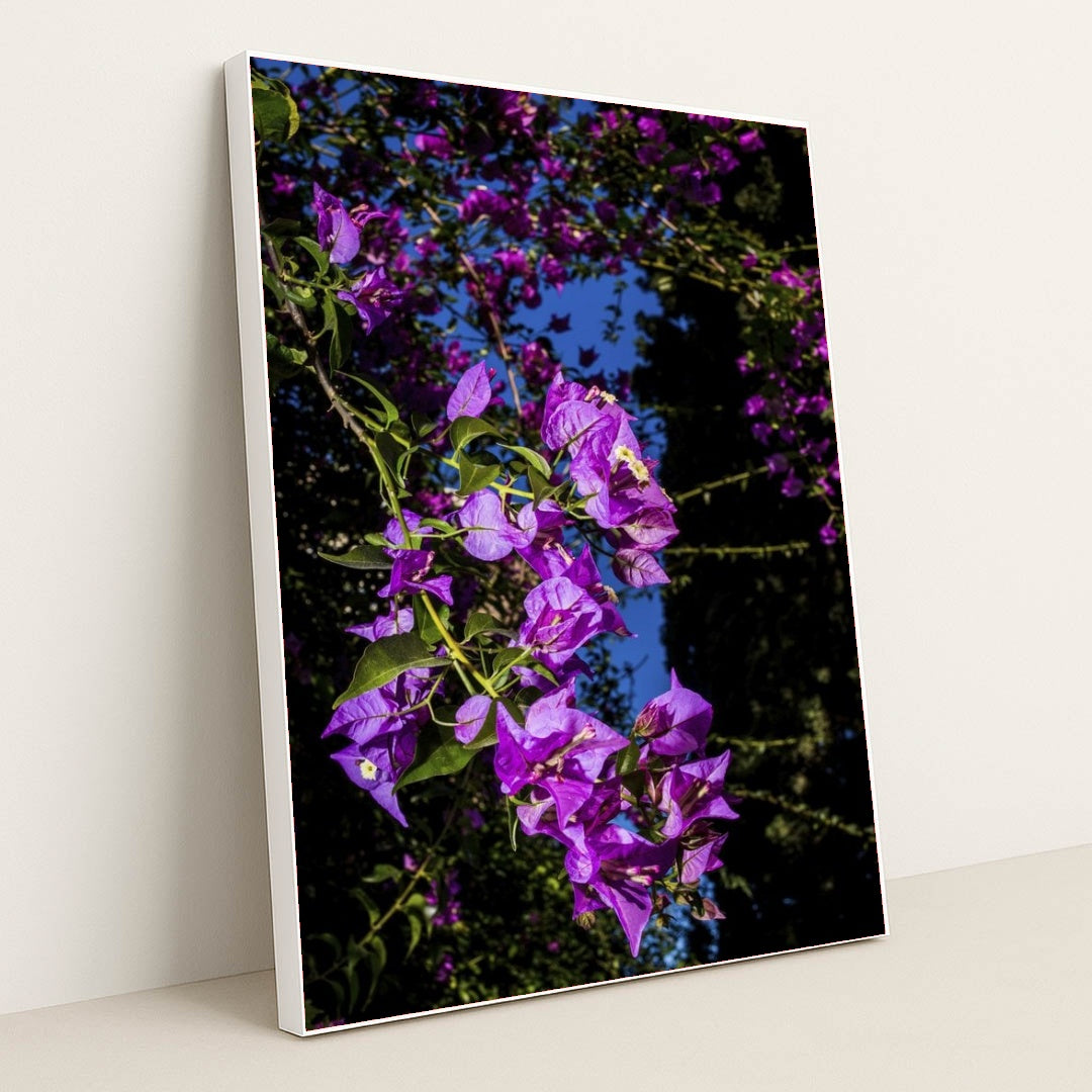 7090291671075 - Product Image