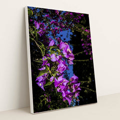 7090291671075 - Product Image