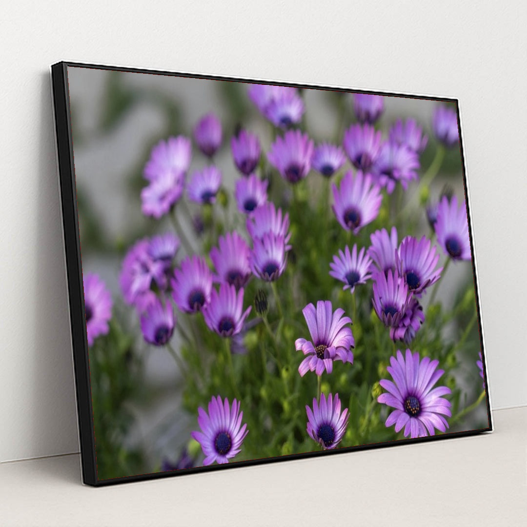 7090358321187 - Product Image