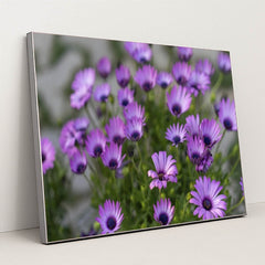 7090358321187 - Product Image