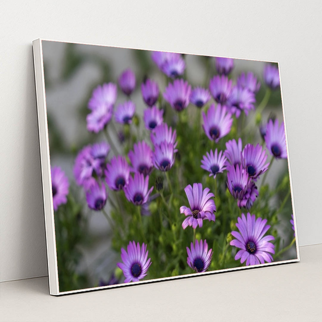 7090358321187 - Product Image