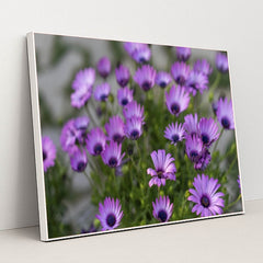 7090358321187 - Product Image