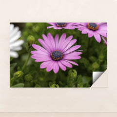 7090347933731 - Product Image