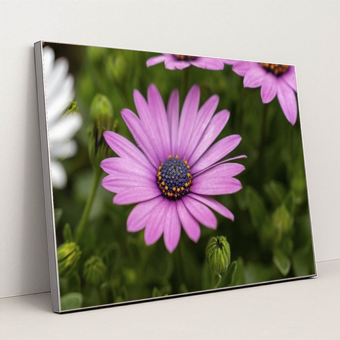 7090347933731 - Product Image