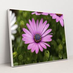 7090347933731 - Product Image