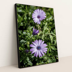 7090298257443 - Product Image