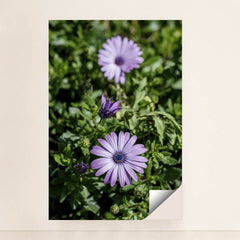 7090298257443 - Product Image