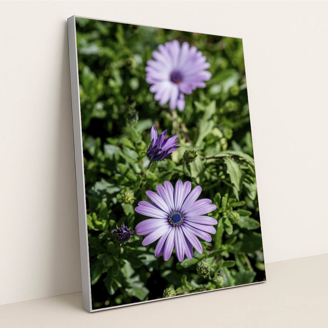 7090298257443 - Product Image