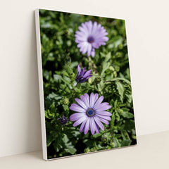 7090298257443 - Product Image