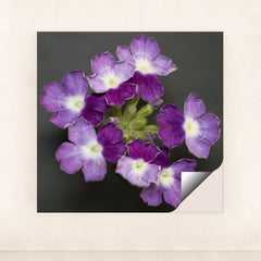 7090297667619 - Product Image