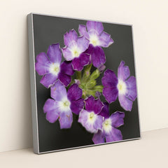 7090297667619 - Product Image