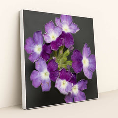 7090297667619 - Product Image