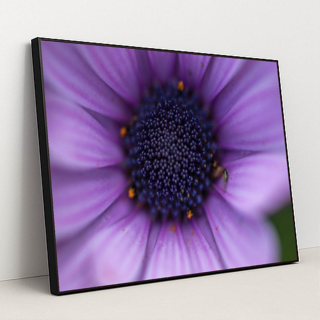 7090295472163 - Product Image