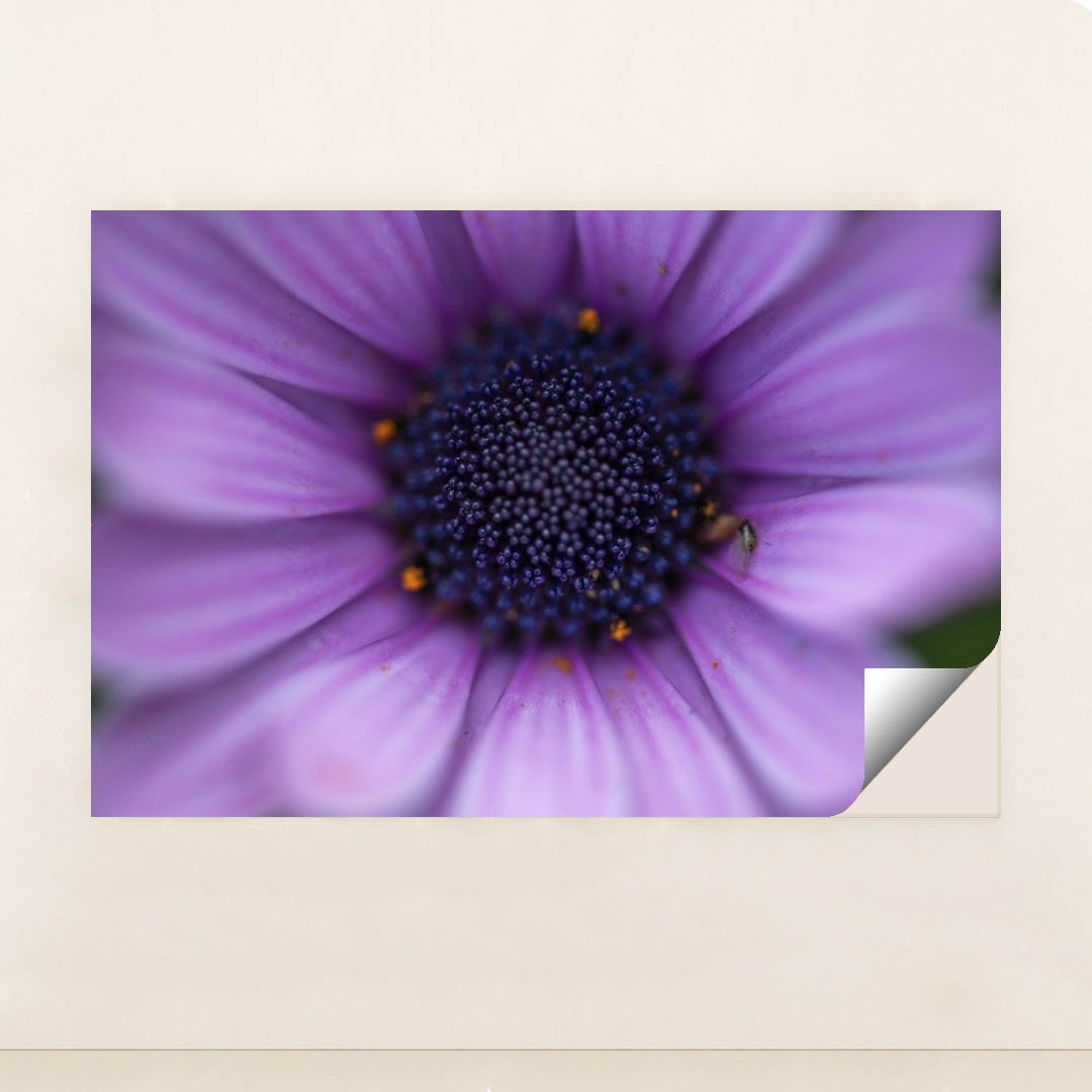 7090295472163 - Product Image