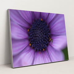 7090295472163 - Product Image