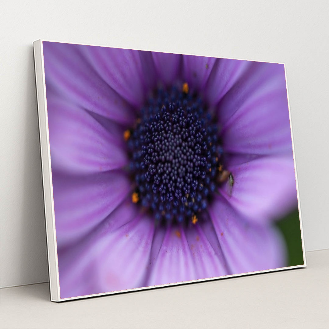 7090295472163 - Product Image